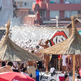 Foam Daddy Rentals: Foam Daddy